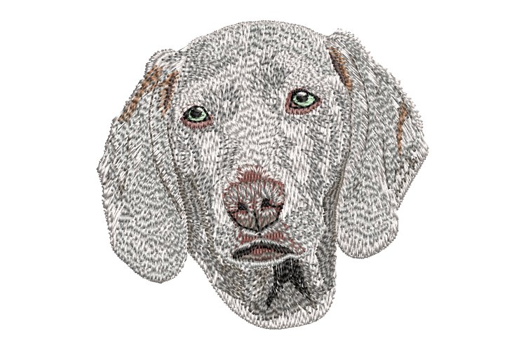 Weimaraner embroidery design example image 1