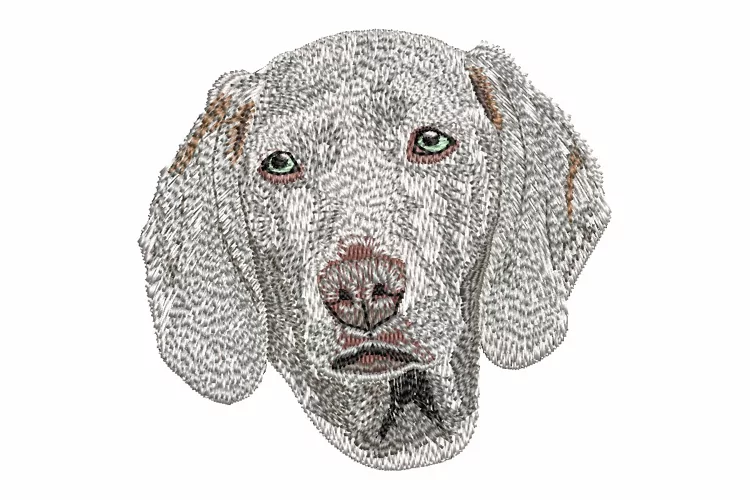 Weimaraner embroidery design