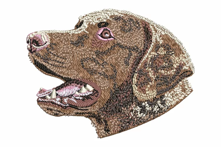 Chesapeake Bay Retriever Embroidery Design