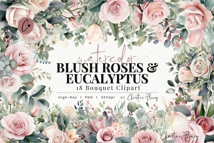 Watercolor Blush Rose   Eucalyptus Bouquet Clipart