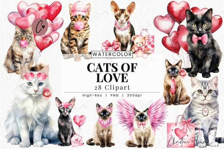 Cat Png Image 15