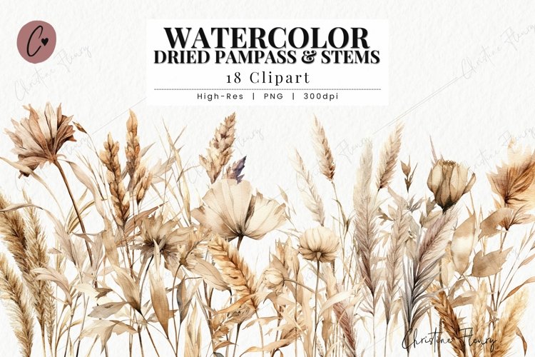 Watercolor Pampass Grass Clipart example image 1