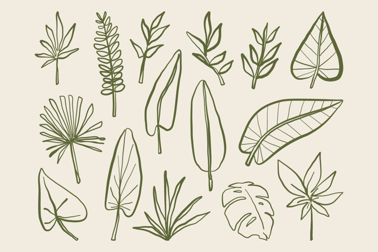 Hand Vector Image 7
