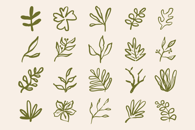 Plant Svg Image 18