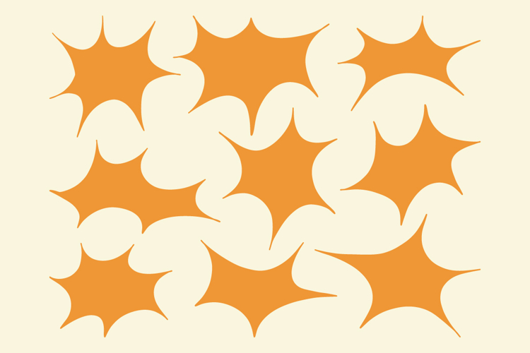 Banana Peel PNGs Image 8