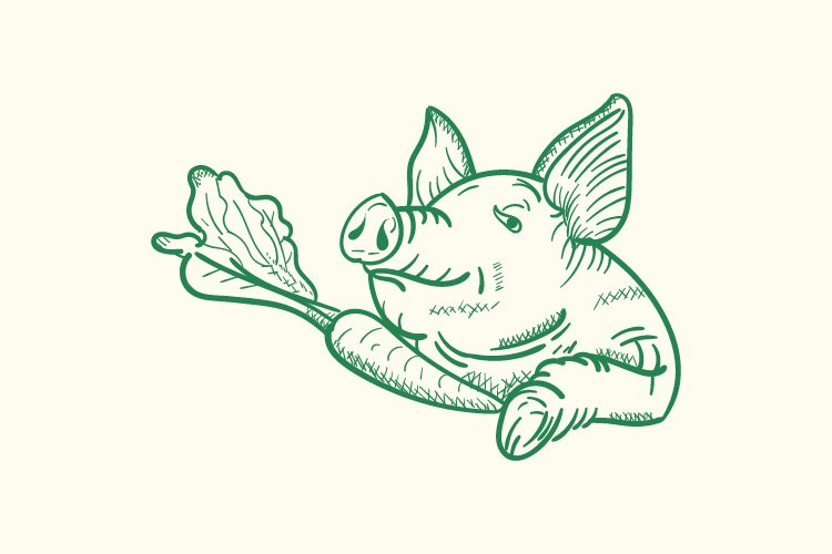pig and carrot hand drawn vector example image 1
