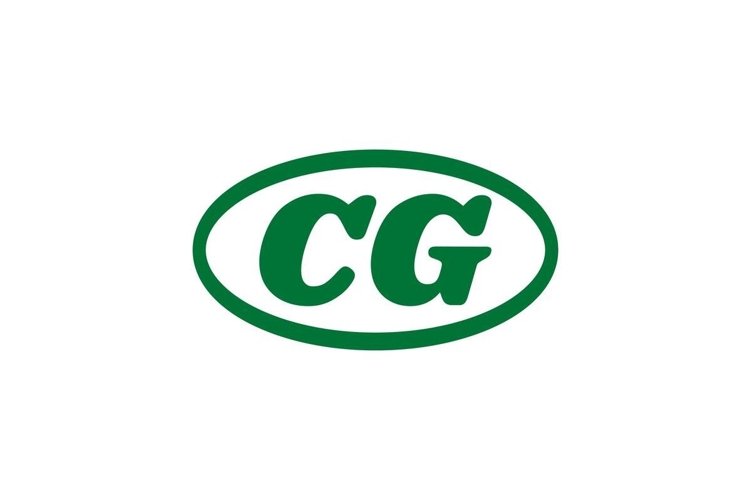 Modern Logo Design Image 13