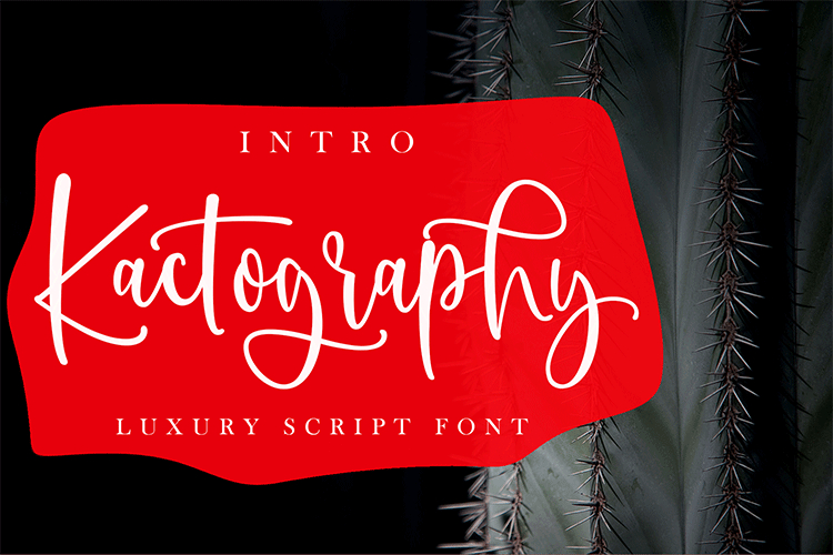 Kactography Script