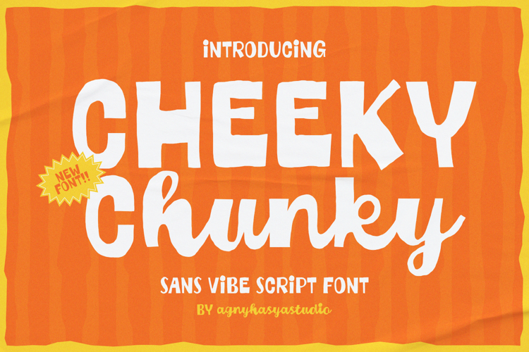 Sans Serif Typeface Image 18