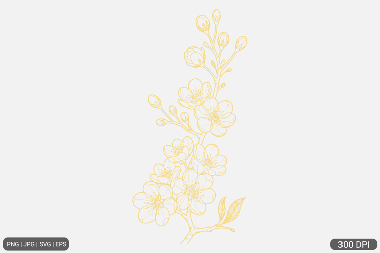 Cherry Blossom SVG PNG