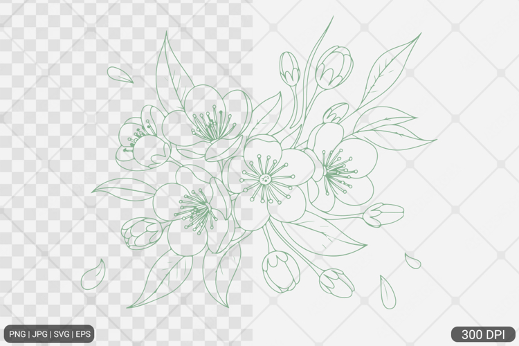 Cherry Blossom SVG PNG