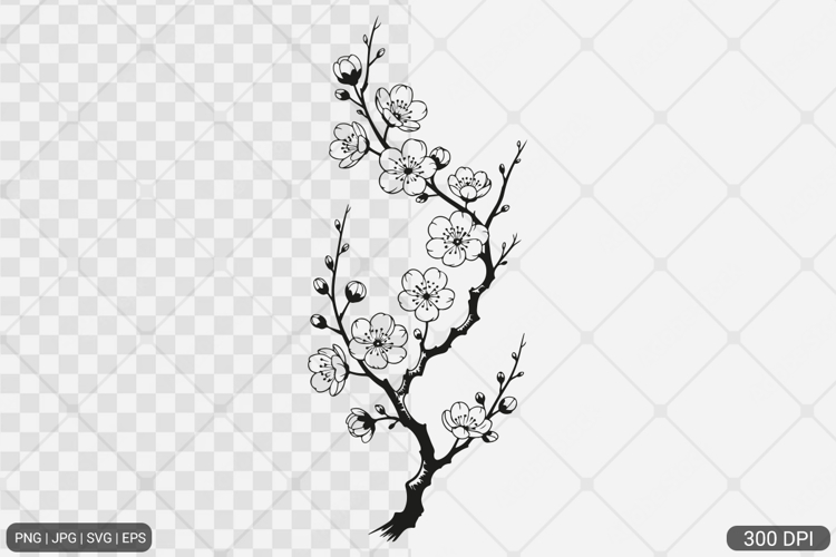 Cherry Blossom SVG PNG
