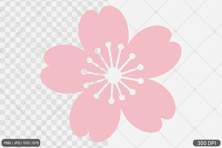 Cherry Blossom SVG PNG