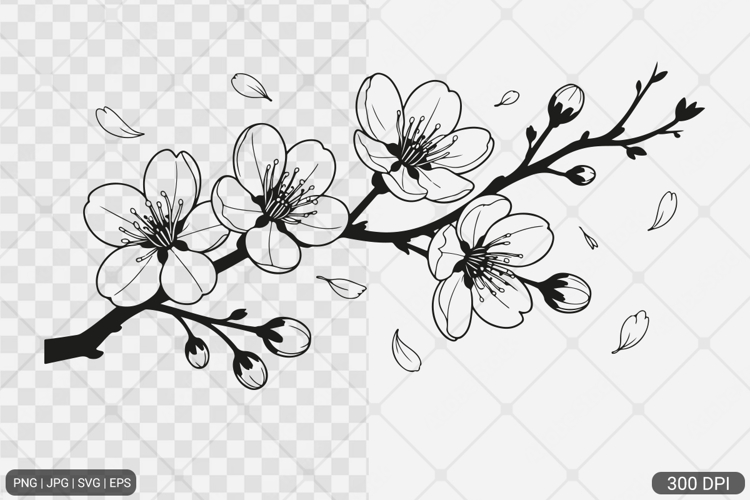 Cherry Blossom SVG PNG