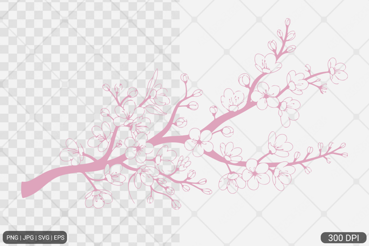 Cherry Blossom SVG PNG