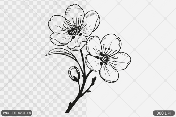 Cherry Blossom SVG PNG