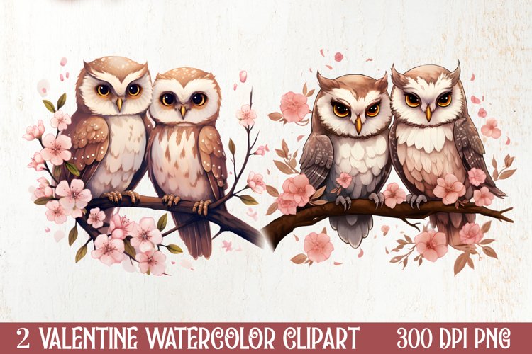 Owl Clipart Image 2