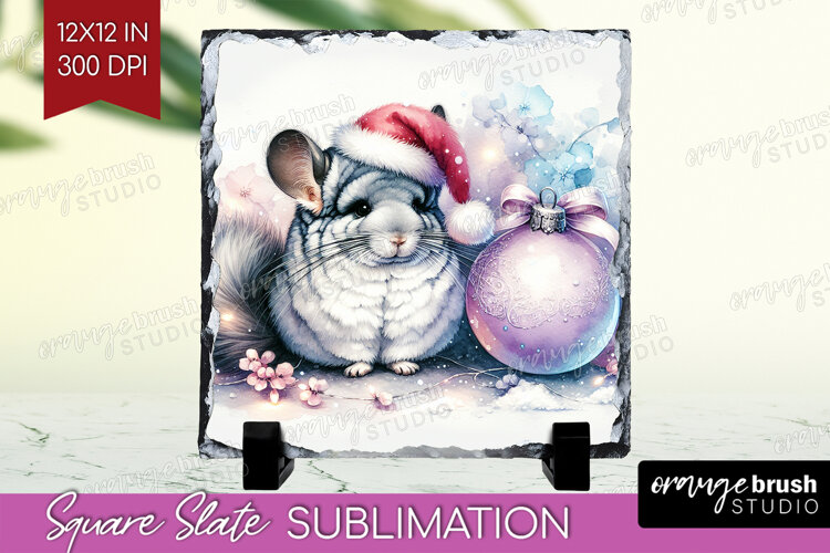 Chinchilla Pastel Christmas Slate PNG Coquette Xmas Square example image 1