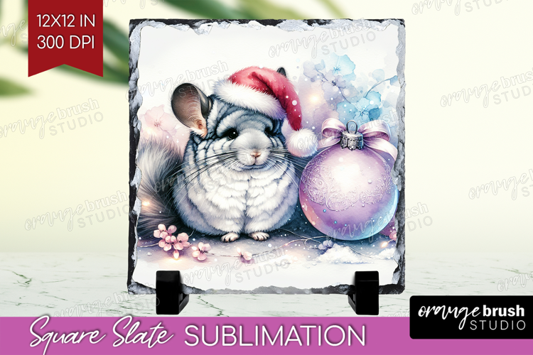 Chinchilla Pastel Christmas Slate PNG Coquette Xmas Square
