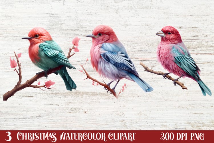 Christmas Birds Clipart , Christmas Birds Clipart