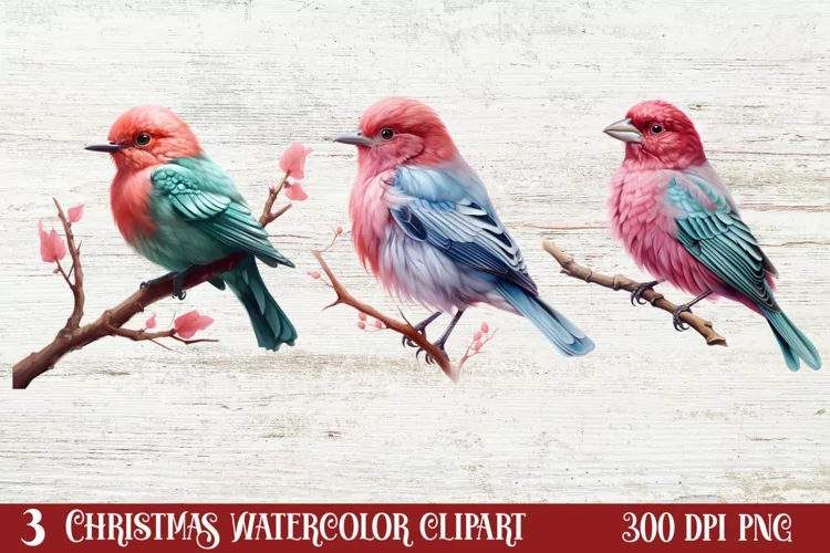 Christmas Birds Clipart , Christmas Birds Clipart