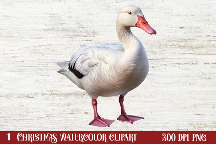 Christmas Birds Clipart , Christmas Birds Clipart