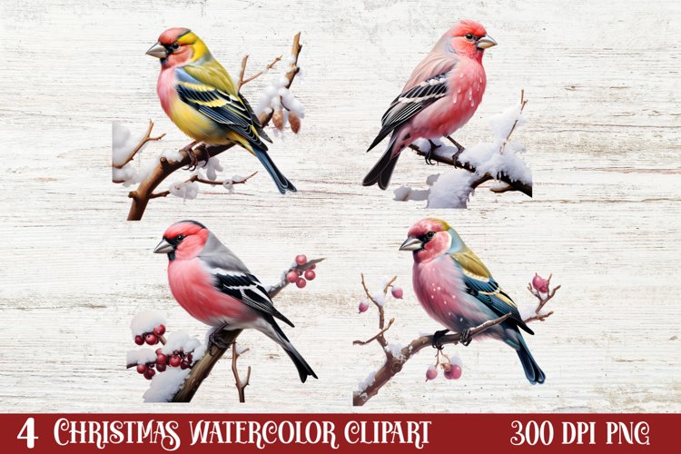 Christmas Birds Clipart , Christmas Birds Clipart
