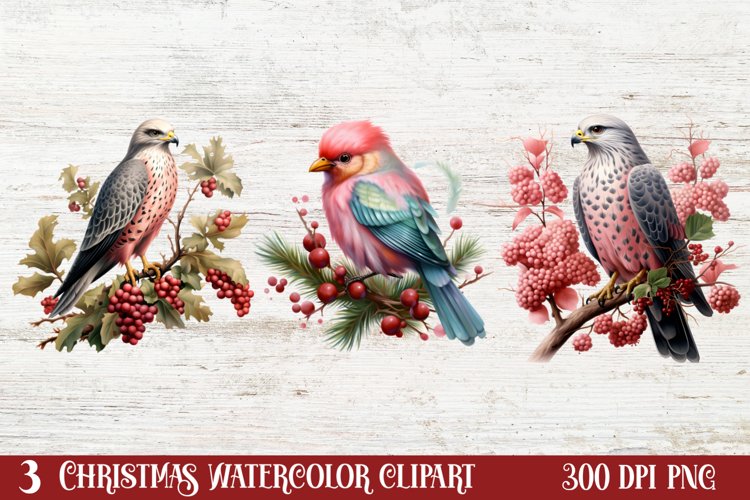 Christmas Birds Clipart , Christmas Birds Clipart example image 1