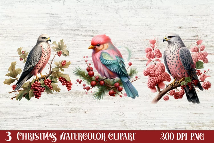 Christmas Birds Clipart , Christmas Birds Clipart
