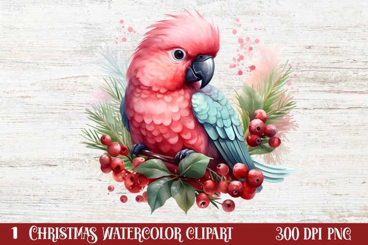 Christmas Birds Clipart , Christmas Birds Clipart example image 1