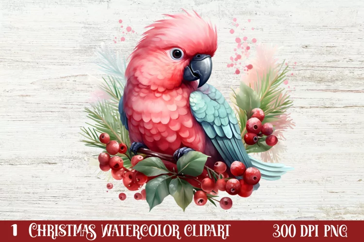 Christmas Birds Clipart , Christmas Birds Clipart