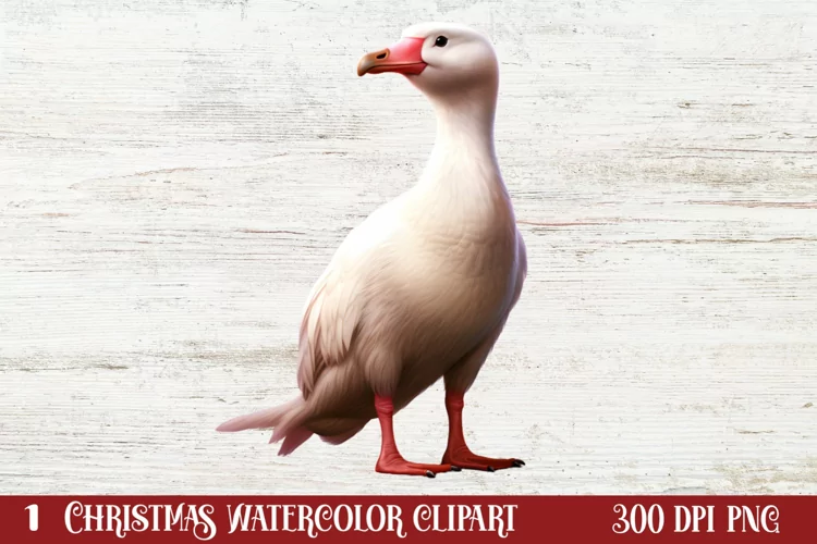 Christmas Birds Clipart , Christmas Birds Clipart
