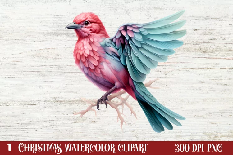 Christmas Birds Clipart , Christmas Birds Clipart
