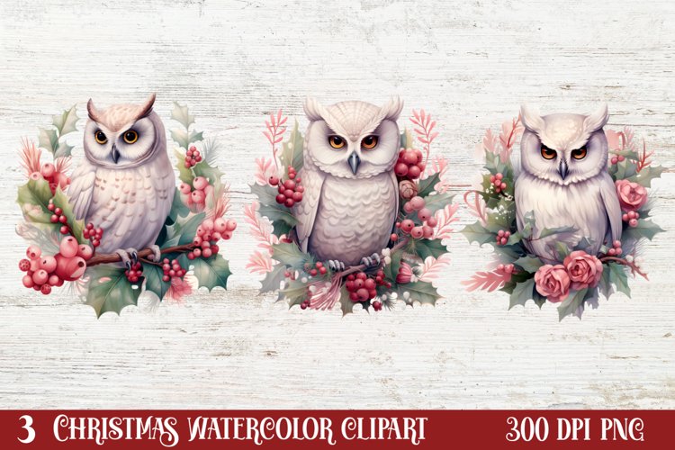 Chirstmas Birds Clipart Bundle, Chirstmas Birds Clipart, Chirstmas Birds Clipart Bundle, Chirstmas Birds Watercolor, Watercolor Chirstmas Birds, Chirstmas Birds Sublimation, Chirstmas Birds, Chirstmas Birds Clip Art, Chirstmas Birds Sublimation Designs, C