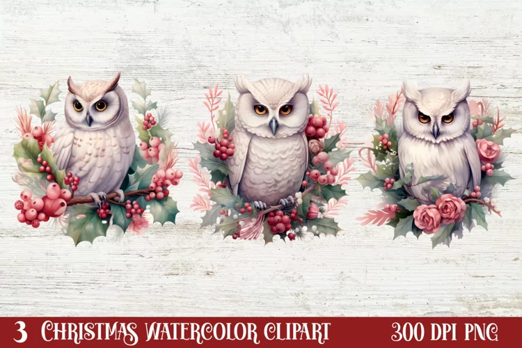 Christmas Birds Clipart , Christmas Birds Clipart