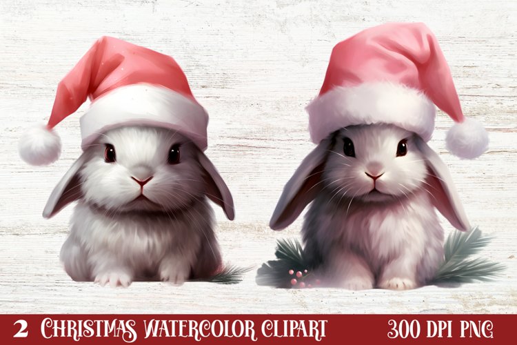Bunnies Clipart Image 16
