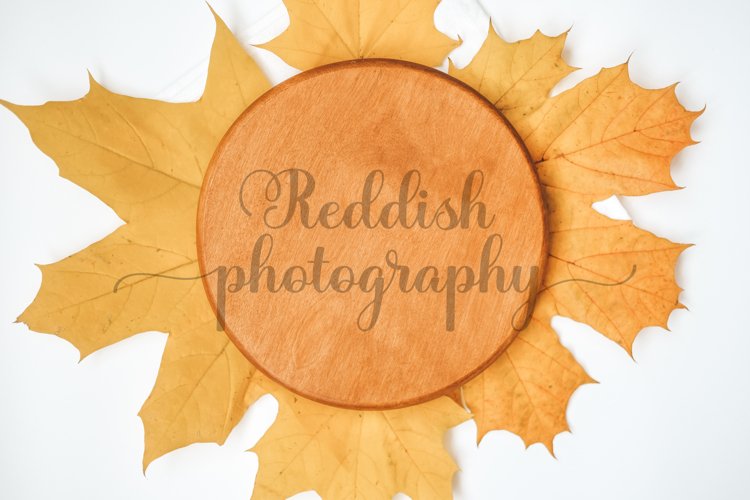 Autumn Clipart Image 15