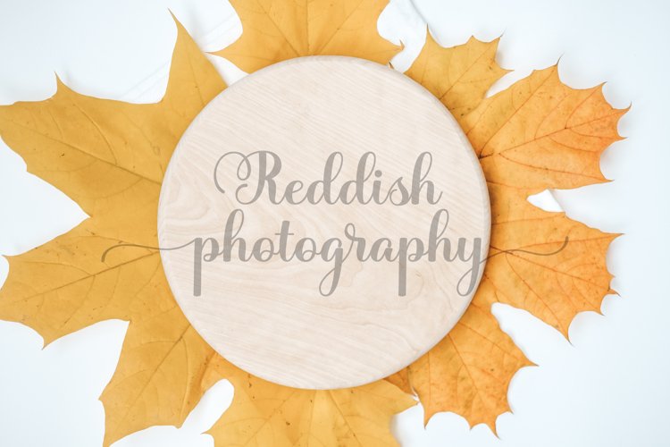Autumn Clipart Image 10