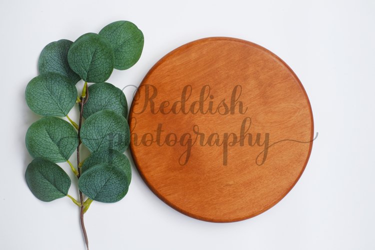Round wood sign mockup JPG 300 dpi, blank wood sign mockup example image 1