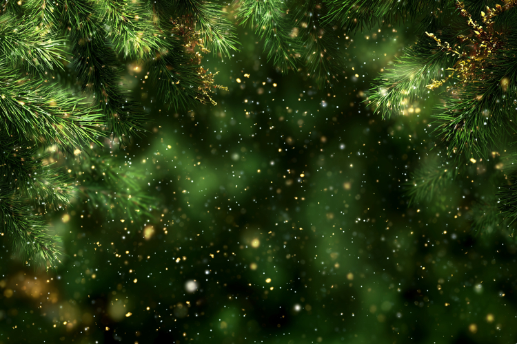 Green Glitter Background Image 5
