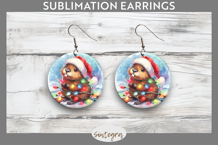 Earrings Png Image 4