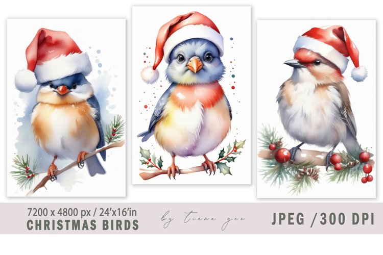 Cute Christmas bird illustrations for prints- 3 JPEG files example image 1