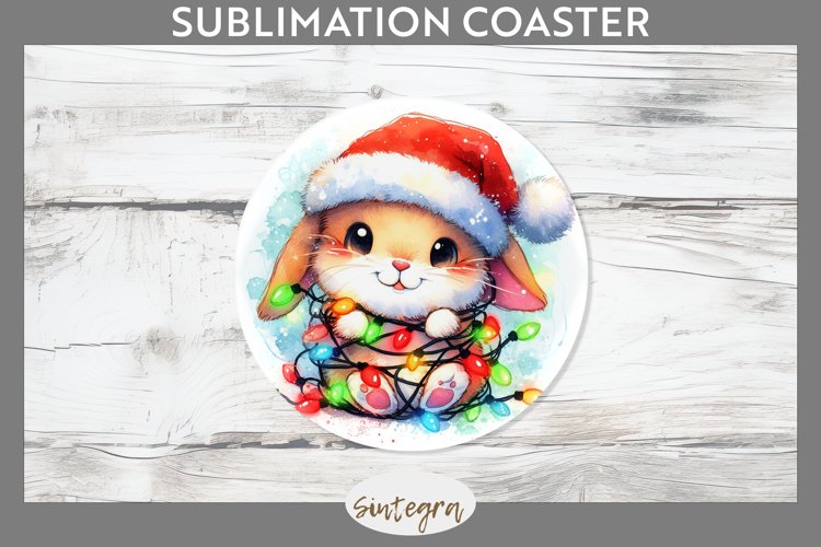 Bunny Clipart Image 18