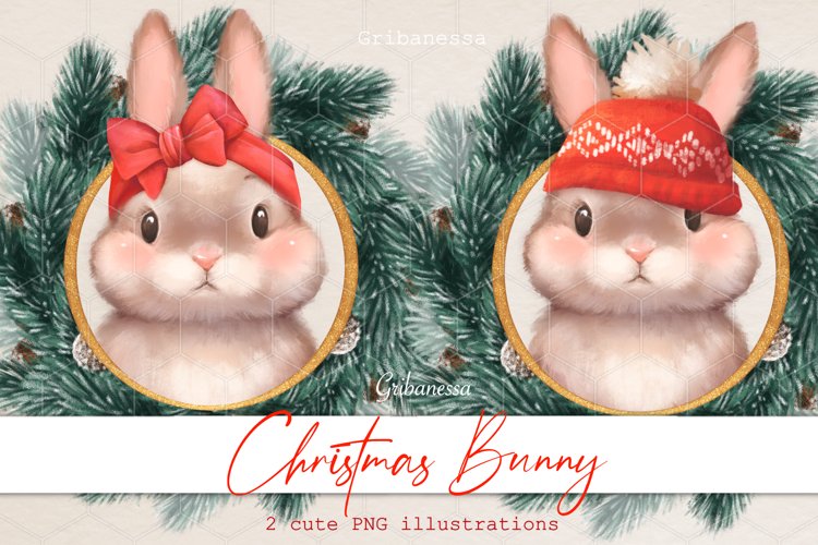 Rabbit Png Image 22