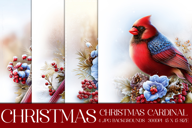 Christmas Background, Christmas Cardinal Bird Background s13