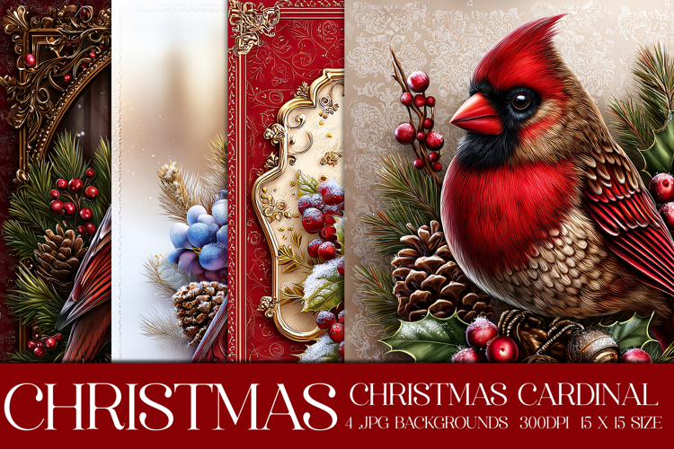 Christmas Background, Christmas Cardinal Bird Backgrounds s5