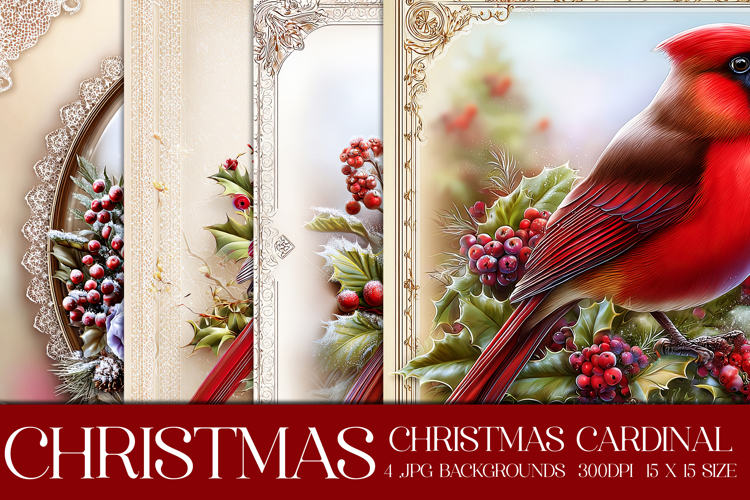 Christmas Background, Christmas Cardinal Bird Backgrounds s6