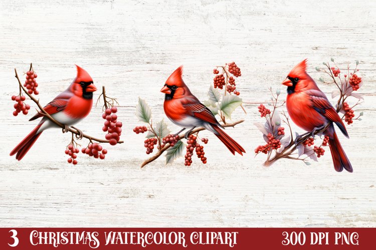 Greenery Clipart Image 24
