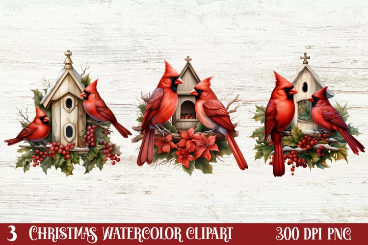 Christmas Cardinal Watercolor Clipart, Christmas Cardinal