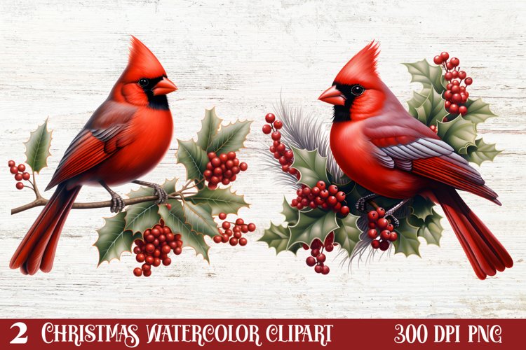 Cardinal Clipart Image 23